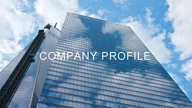 COMPANY PROFILE